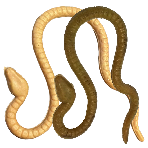 Yoda Snake (various browns)