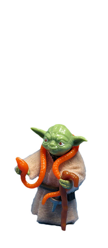 Do you have this figure? Yoda, The Jedi Master